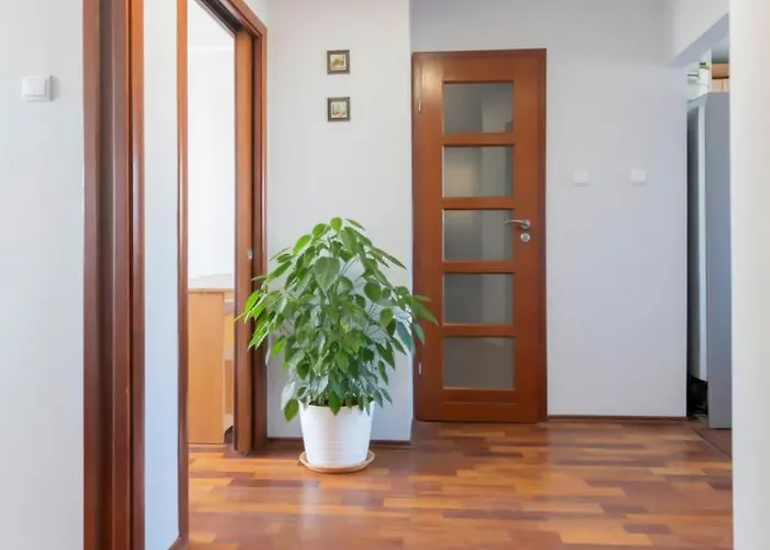 W Centrum 50m2 - 6 People, 3 * Wrocław